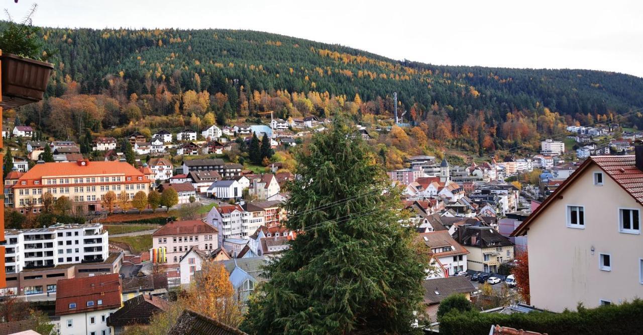 Ferienwohnung Kurort Zentrum Bad Wildbad Exteriör bild