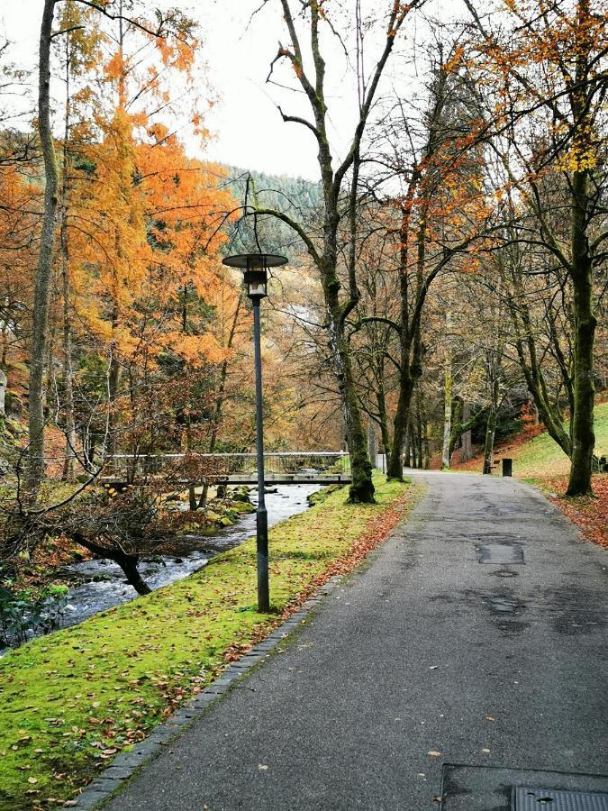 Ferienwohnung Kurort Zentrum Bad Wildbad Exteriör bild